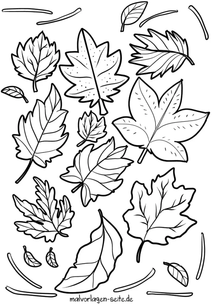 malvorlage-laubblaetter-herbst-vielfalt