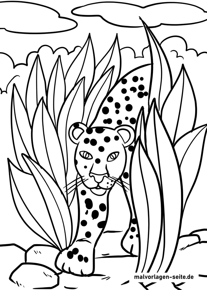 malvorlage-leopard-im-dschungel-zwischen-hohen-pflanzen