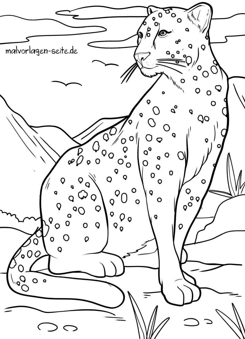 malvorlage-leopard-in-der-natur