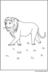 malvorlage-loewe-ausmalbild-fuer-kinder