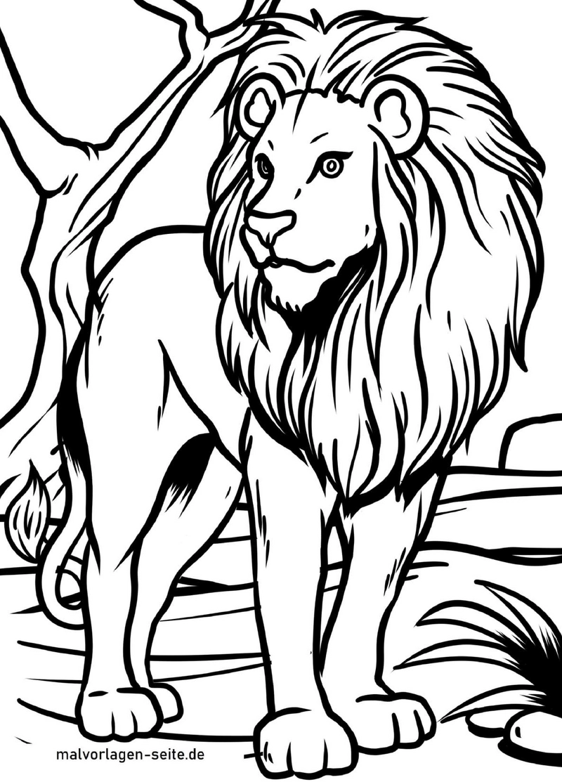 malvorlage-loewe-maennlich-detailreiche-maehne