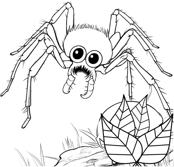 malvorlage-lustige-spinne-kind-blätterhut