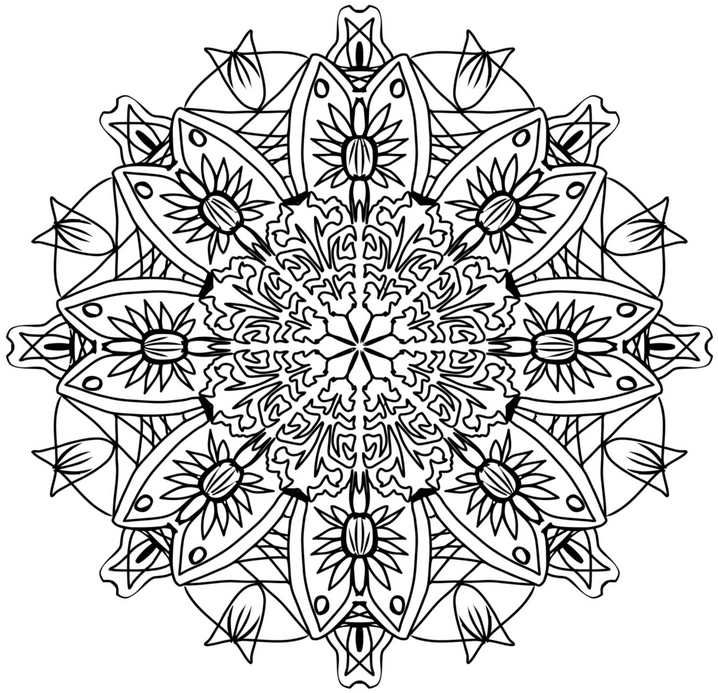 malvorlage-mandala-blumen-und-blattmotiven