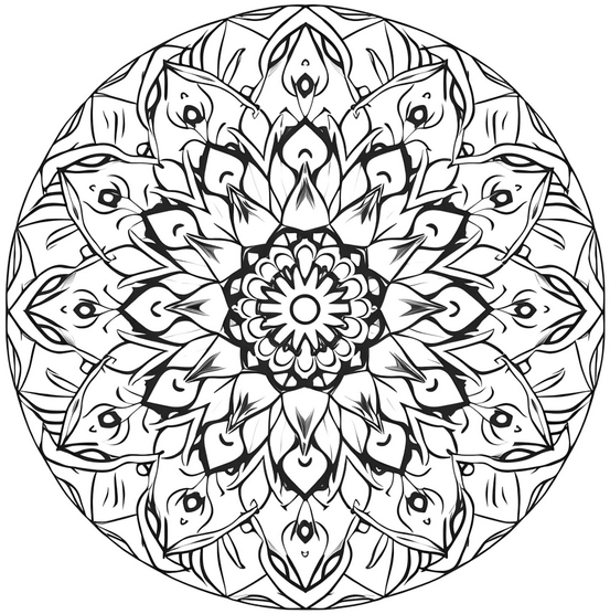 malvorlage-mandala-mit-komplexen-mustern-zum-ausmalen