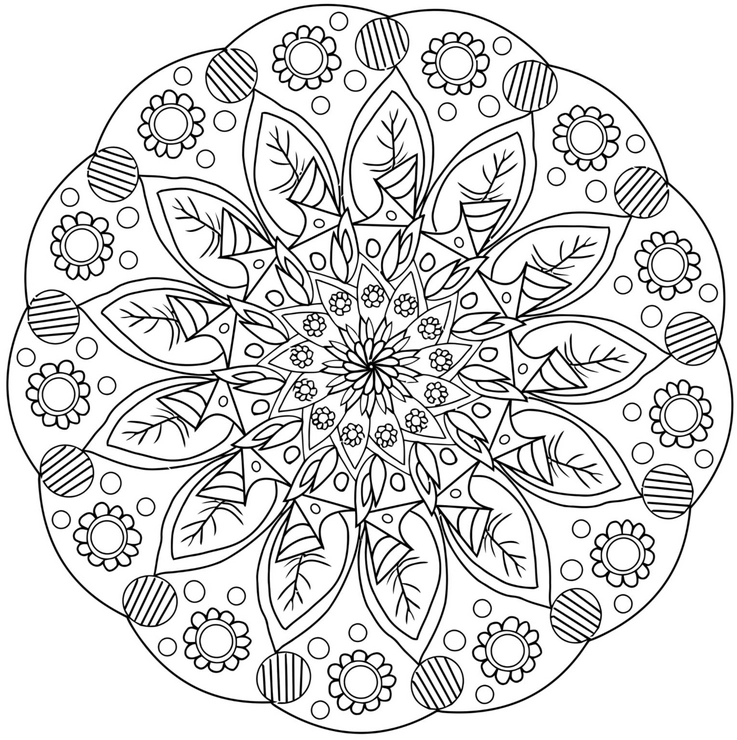 malvorlage-mandala-mit-pflanzen-und-blumen