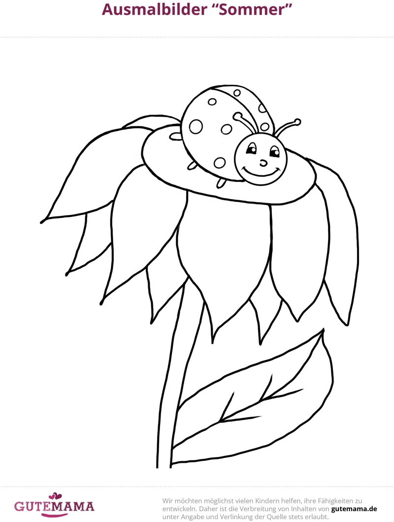 malvorlage-marienkaefer-auf-blume-sommer