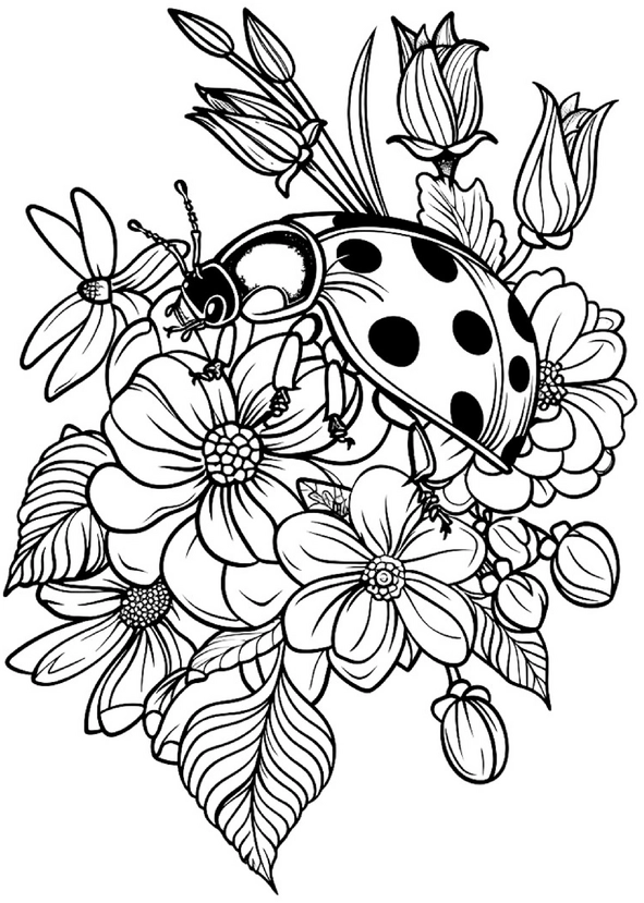 malvorlage-marienkaefer-auf-blumen