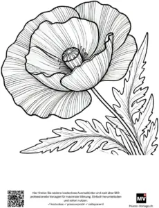 malvorlage-mohnblume-zum-ausmalen