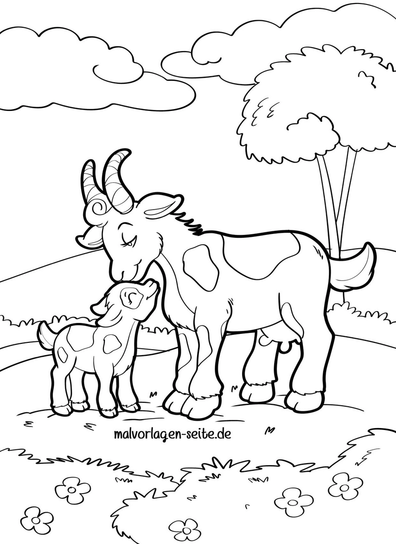 malvorlage-mutterziege-und-kitz-auf-der-wiese