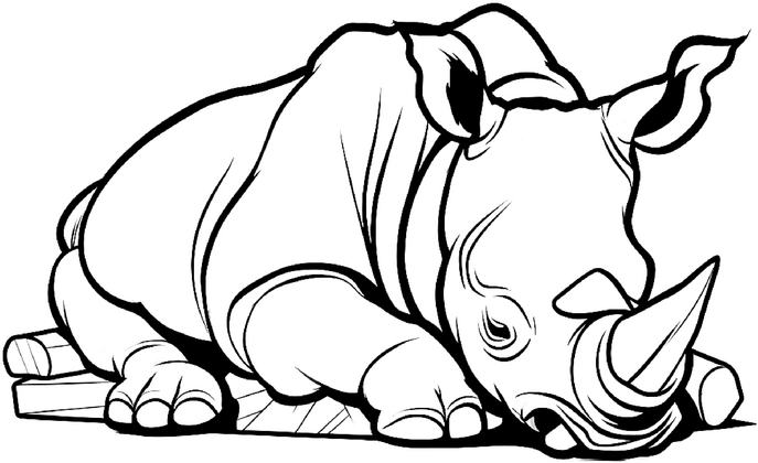 malvorlage-nashorn-ausmalbild-kreativ-gestalten