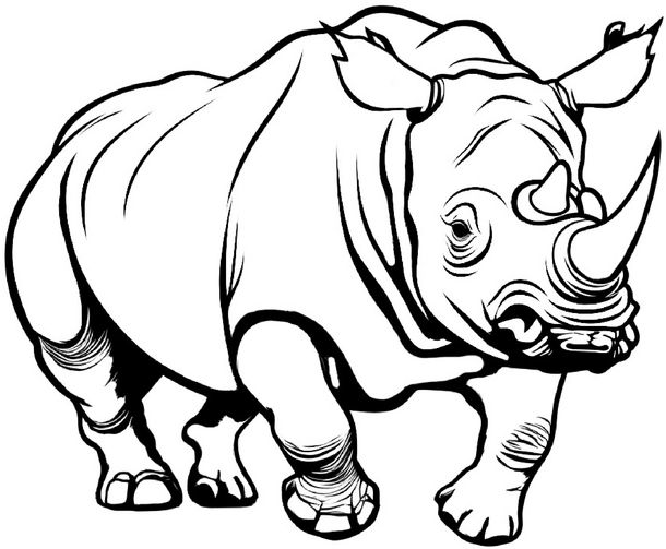 malvorlage-nashorn-in-der-natur