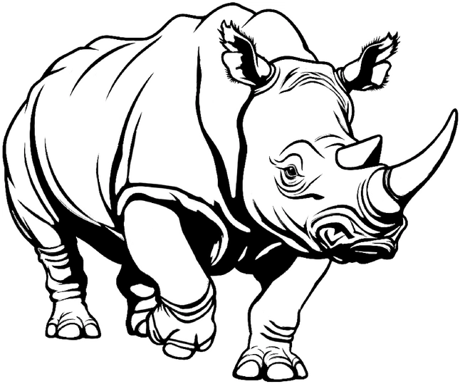 malvorlage-nashorn-kreativ-ausmalen