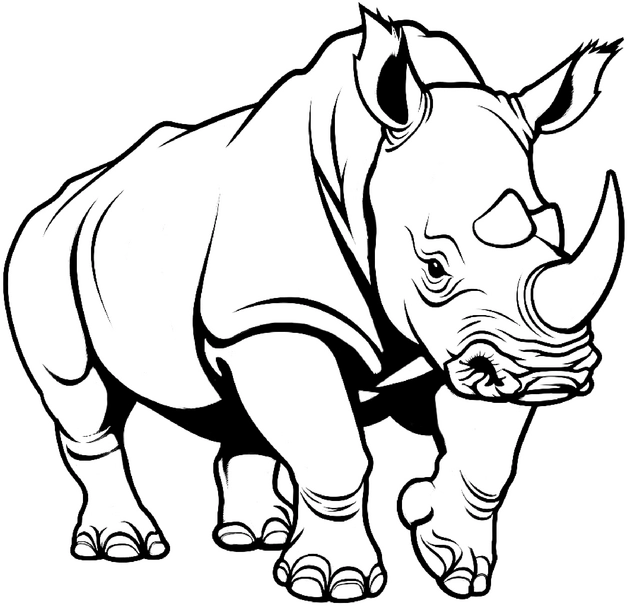 malvorlage-nashorn-stark-und-kreativ