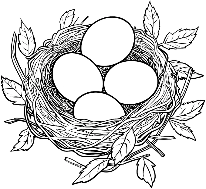 malvorlage-nest-mit-eiern-und-blaettern