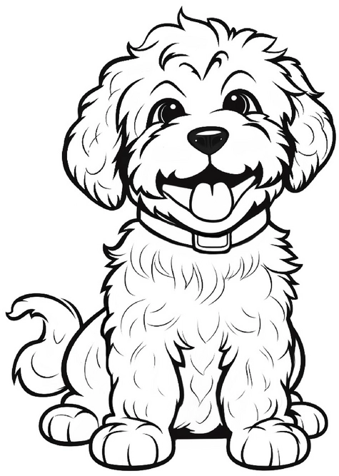 malvorlage-niedlicher-lagotto-welpe-ausmalen