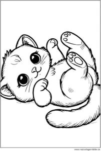malvorlage-niedliches-katzenbaby-auf-dem-ruecken