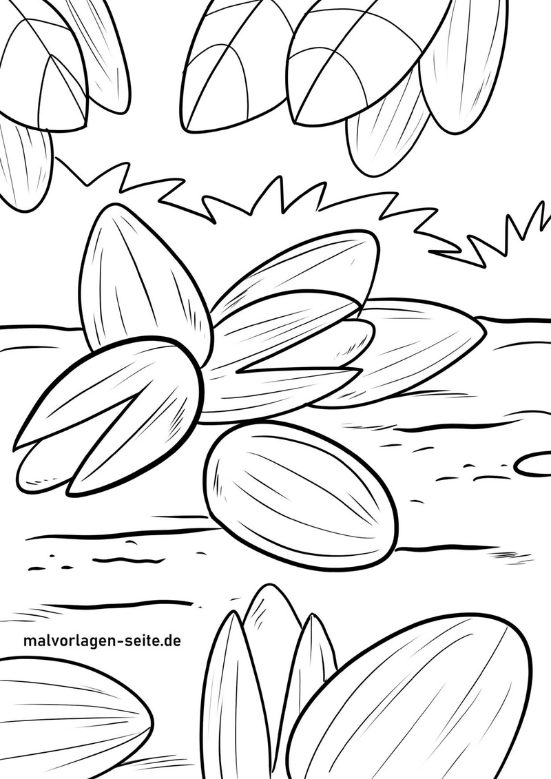 malvorlage-nuesse-in-der-natur-ausmalen