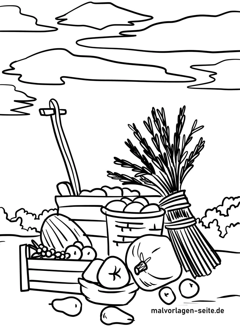 malvorlage-obst-erntesaison