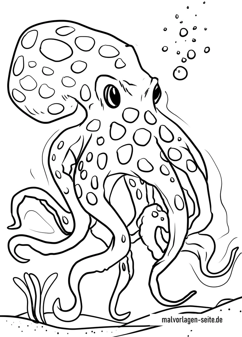 malvorlage-oktopus-mit-vielen-tentakeln