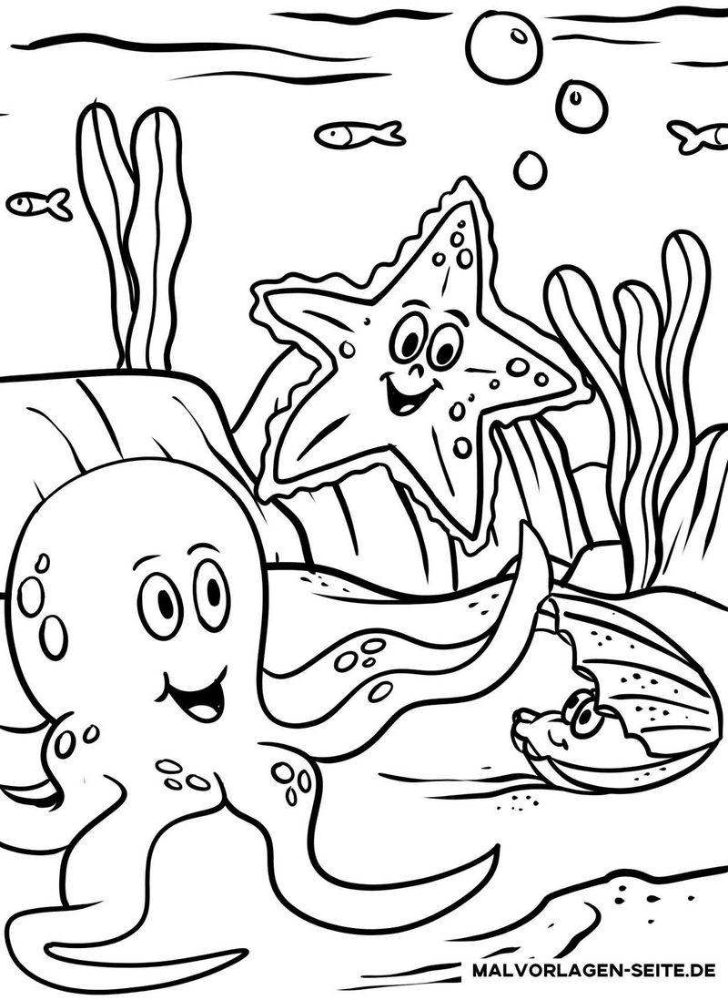 malvorlage-oktopus-seestern-unterwasserwelt