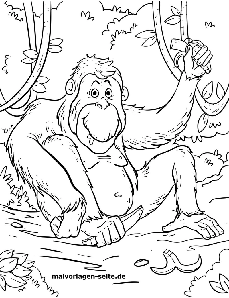 malvorlage-orang-utan-im-dschungel