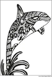 malvorlage-orca-springen-ausmalbild