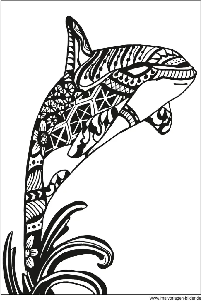 malvorlage-orca-springen-ausmalbild