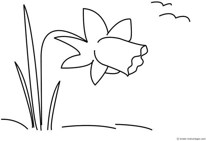 malvorlage-osterglocke-fruehling-ausmalen