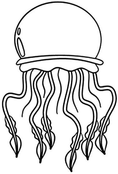 malvorlage-ozeanische-qualle-ausmalen