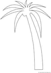 malvorlage-palmbaum-ausmalen