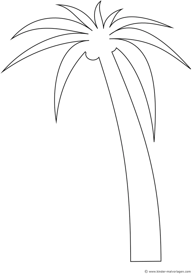 malvorlage-palmbaum-ausmalen