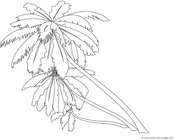 malvorlage-palmblaetter-tropischer-stil