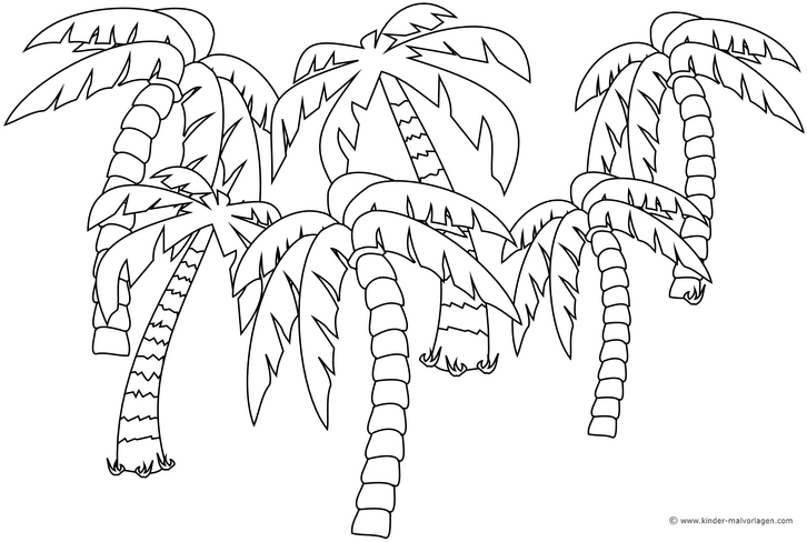 malvorlage-palmengarten-zum-ausmalen