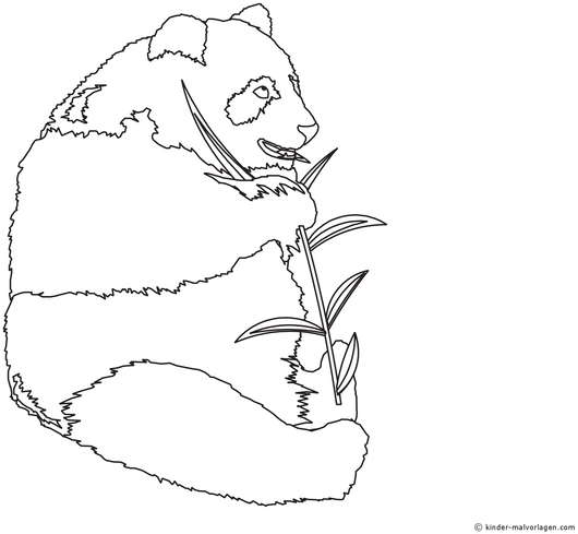 malvorlage-panda-baer-mit-bambus