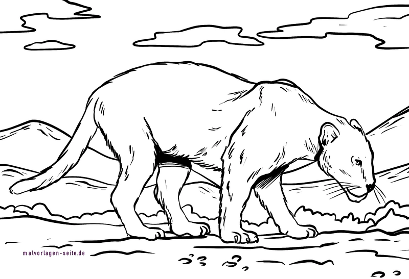 malvorlage-panther-in-natuerlicher-umgebung