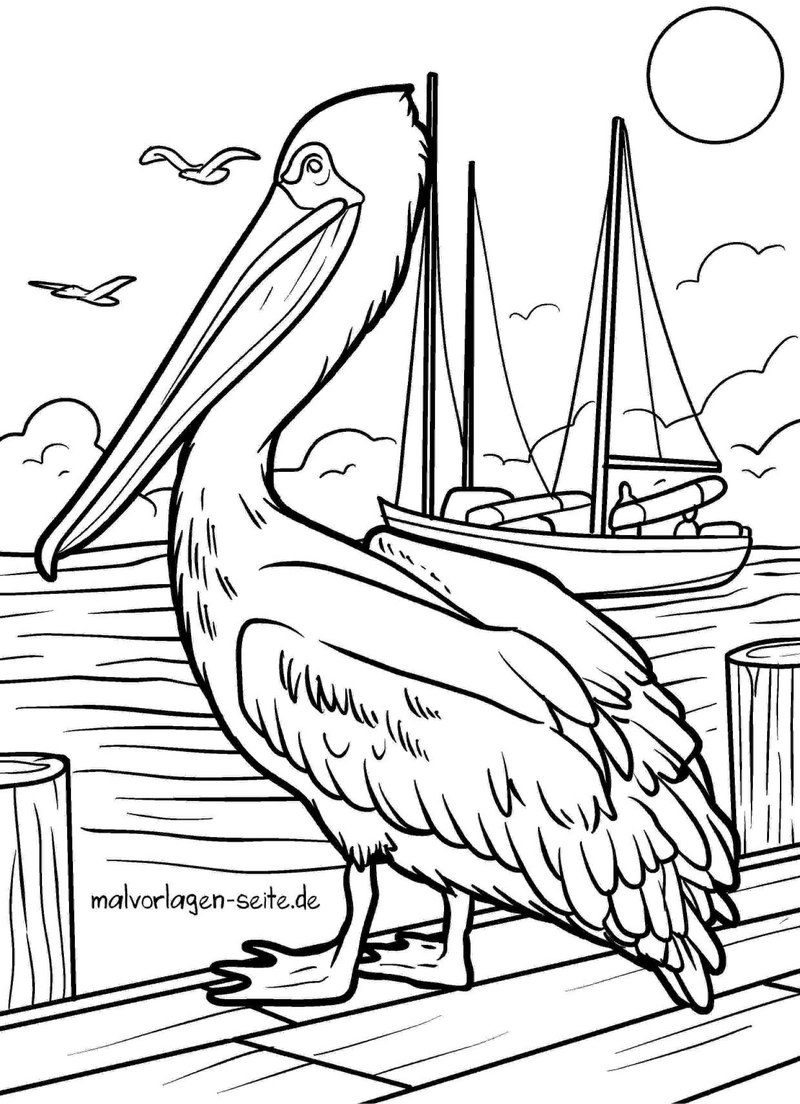 malvorlage-pelikan-am-wasser-mit-boot-und-voegeln