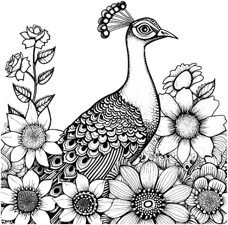 malvorlage-pfau-und-blumen