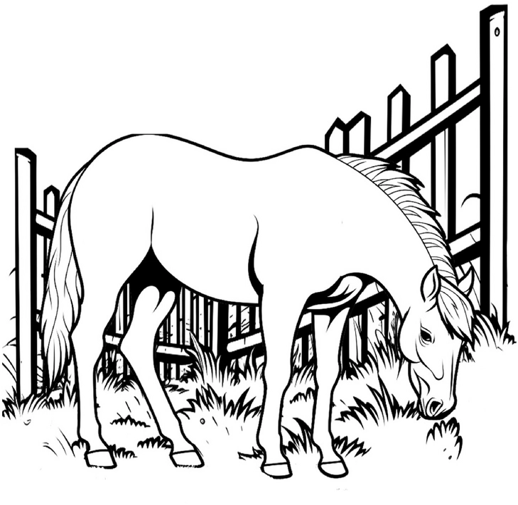 malvorlage-pferd-am-zaun-fuer-kreative-ausmalstunden