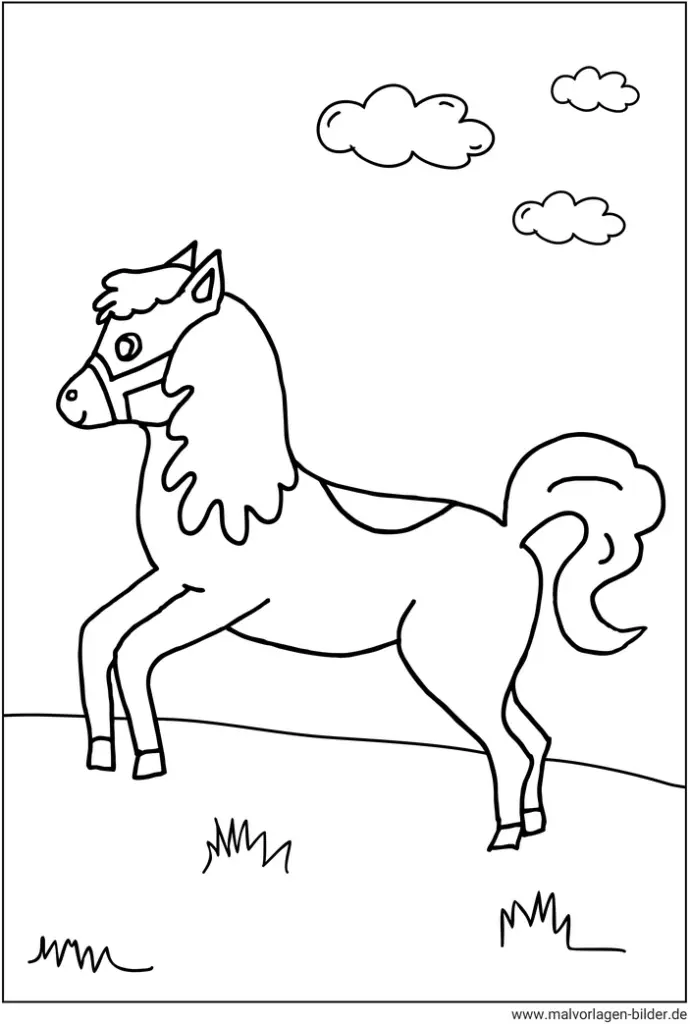 malvorlage-pferd-ausmalen