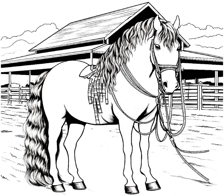 malvorlage-pferd-im-stall-ausmalbild