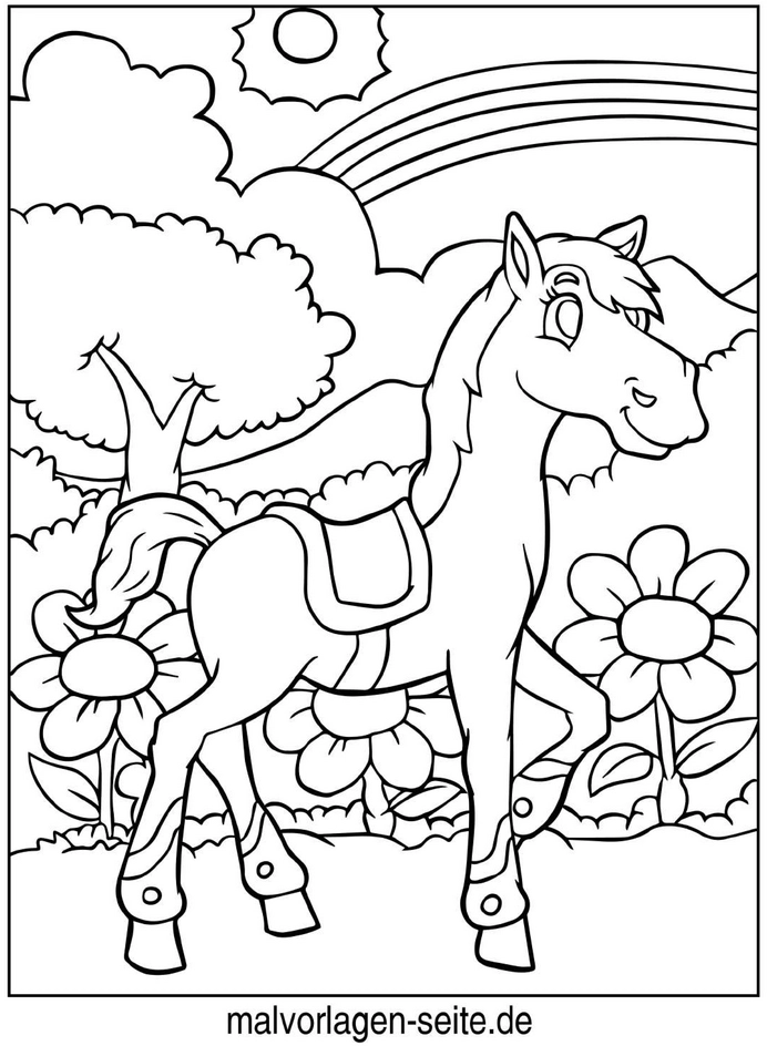 malvorlage-pferd-in-blumenlandschaft-mit-regenbogen