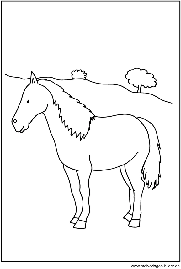 malvorlage-pferd-in-der-natur
