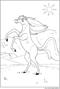 malvorlage-pferd-in-der-natur