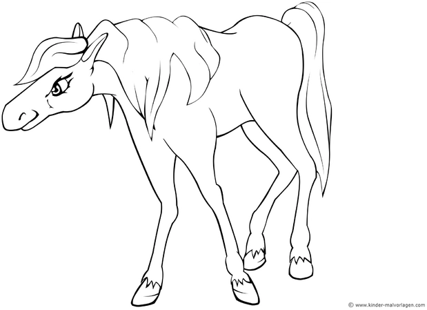 malvorlage-pferd-mit-klaren-konturen