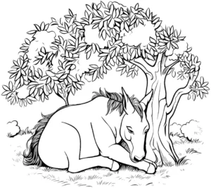 malvorlage-pferd-unter-baum-ausmalbild