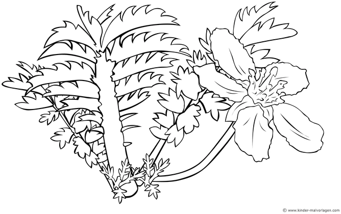 malvorlage-pflanze-blume-blatt