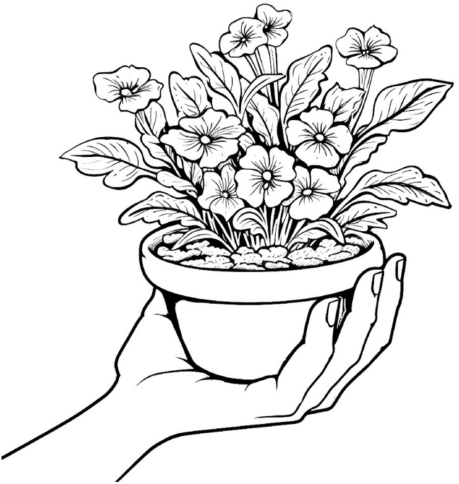 malvorlage-pflanze-in-hand-ausmalbild
