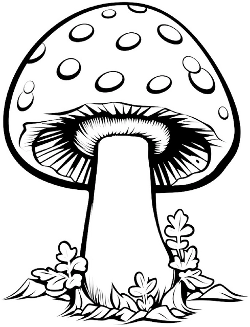 malvorlage-pilz-mit-blaettern