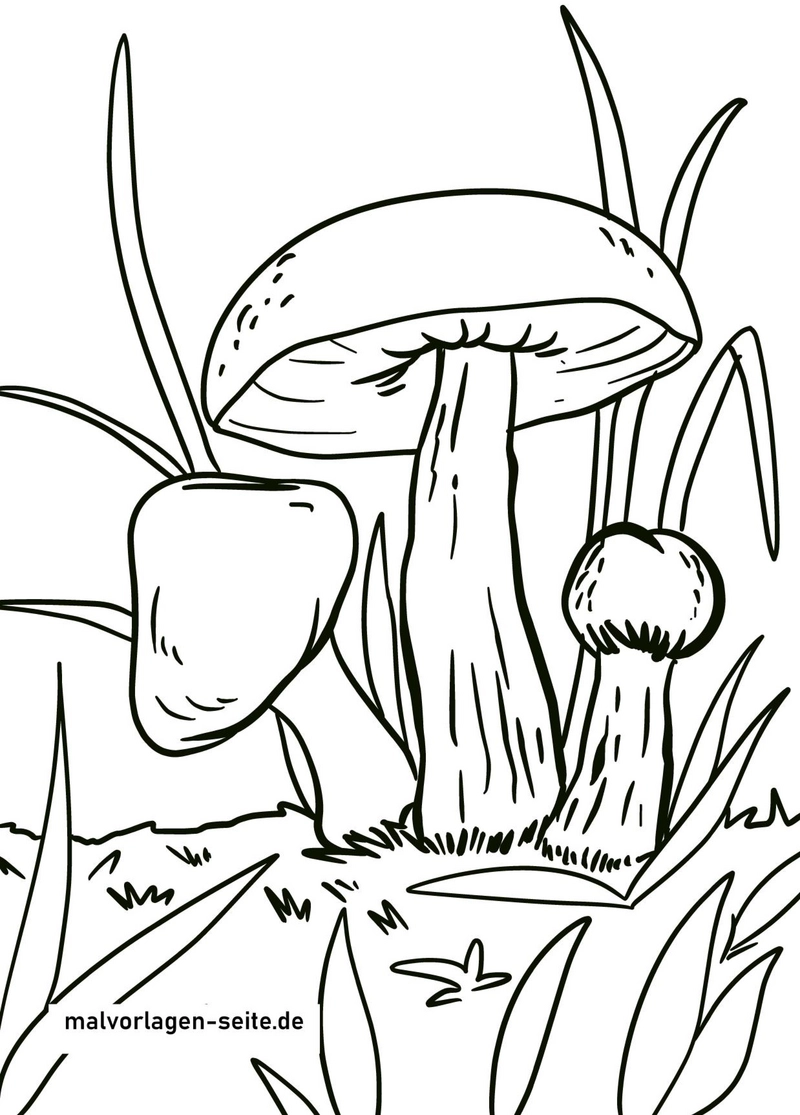 malvorlage-pilze-in-der-natur-mit-verschiedenen-formen-und-figuren