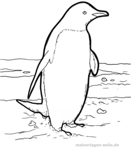 malvorlage-pinguin-auf-eis-zeichnen